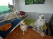 Pension_7