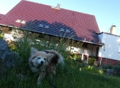 Pension_8