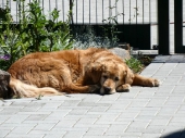 Pension_8