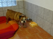 Pension_13