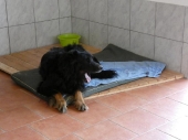 Pension_142