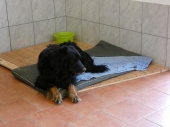 Pension_143