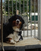 Pension_15