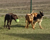 Pension_2