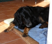 Pension_2