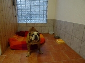 Pension_38