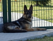 Pension_46