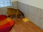 Pension_4