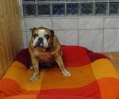 Pension_4