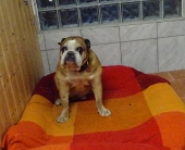 Pension_5