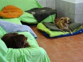 Pension_16