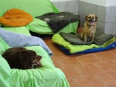 Pension_17