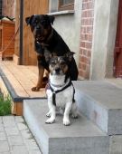 Pension_1