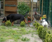 Pension_20