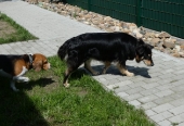 Pension_20