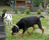 Pension_21