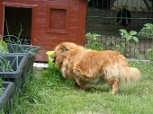Pension_22