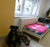 Pension_23