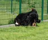 Pension_24