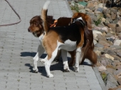Pension_25