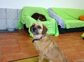 Pension_26
