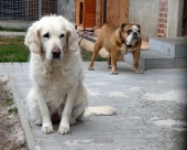 Pension_29