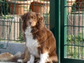 Pension_30