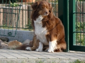 Pension_31