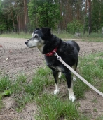 Pension_31