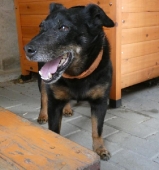 Pension_36