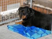Pension_40