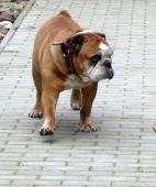Pension_8