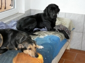 Pension_21
