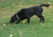 Pension_22