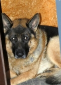 Pension_12