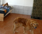 Pension_13