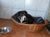 Pension_1