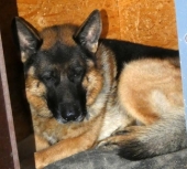 Pension_20