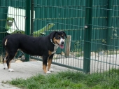 Pension_21