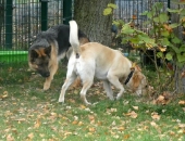 Pension_23