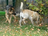 Pension_28