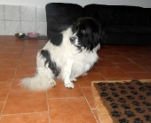 Pension_29