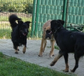 Pension_2