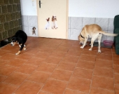 Pension_3