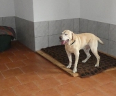 Pension_6