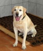 Pension_7