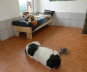Pension_81