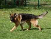 Pension_84