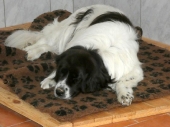 Pension_95