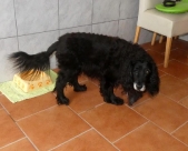 Pension_12